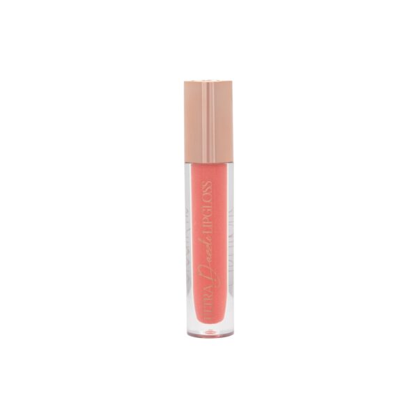 LIPGLOSS ULTRA DAZZLE GO-GETTER 10 BC