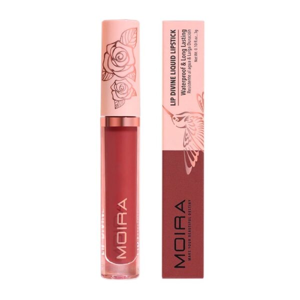 LABIAL LIQUIDO DIVINE ROGUE 010 MO