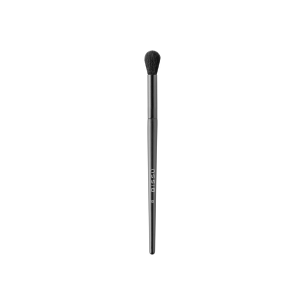 BROCHA PROFESIONAL No. 10